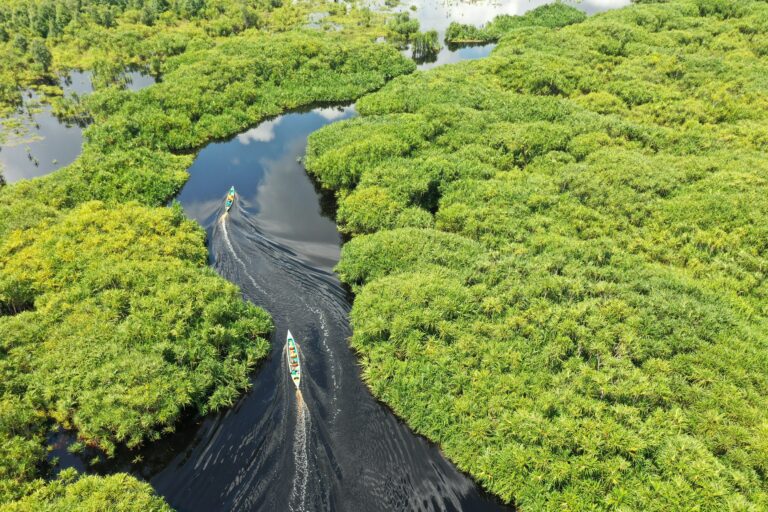 entlang des Sekonyer Flusses