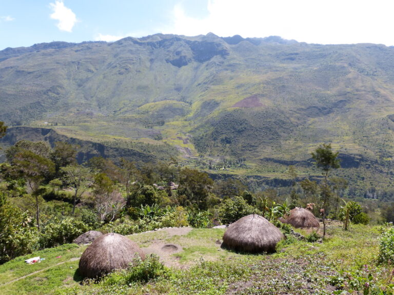 Dorf in West Papua