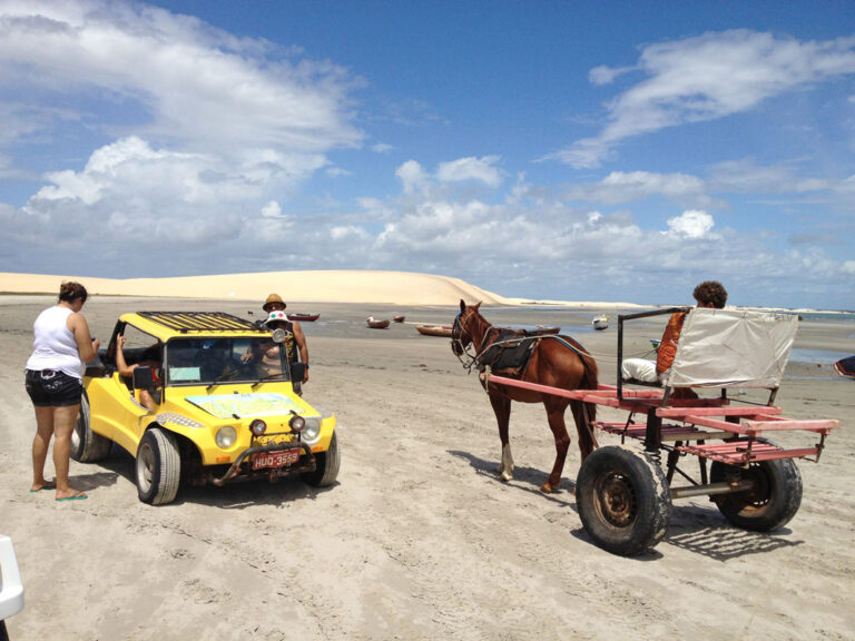 Eine Perdekutsche ist der Gegenverkehr auf der Buggytour am Strand