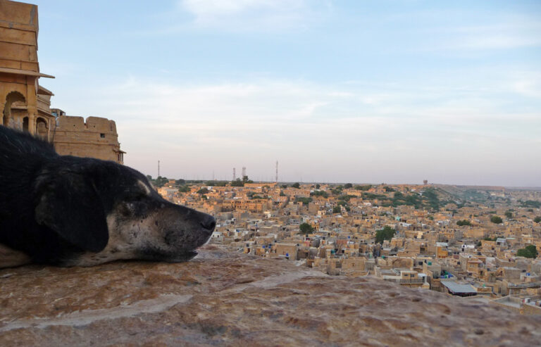 Ausblick auf die „Goldene Stadt“