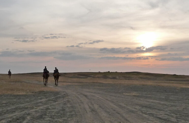 Kamelsafari in die Wüste