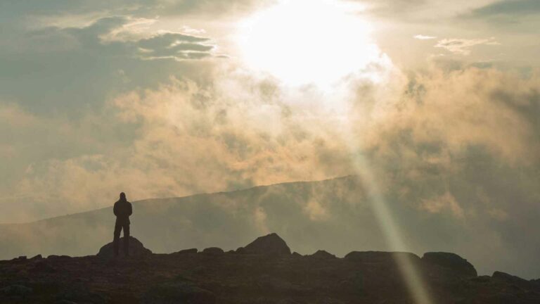 Der Natur ganz nah sein