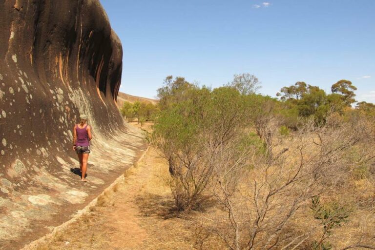 Der wellenförmige Pildappa Rock