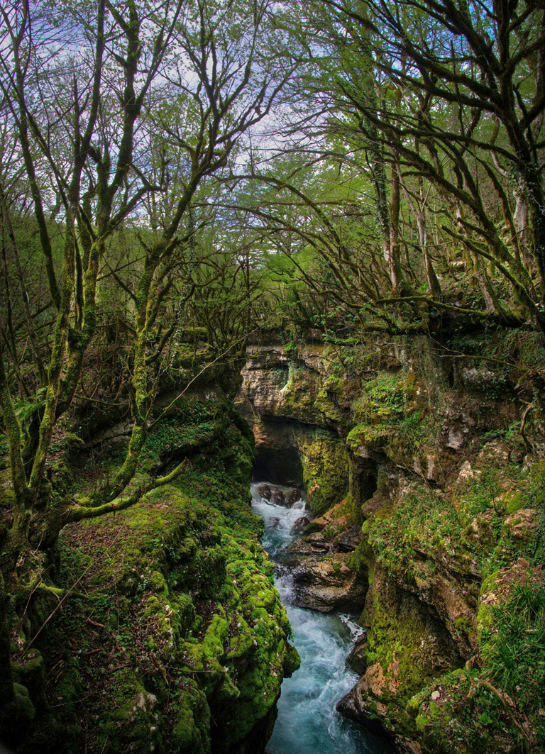Spektakulärer Martvili Canyon