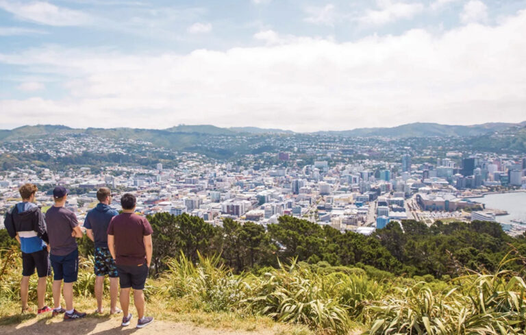 Ausblick auf Wellington
