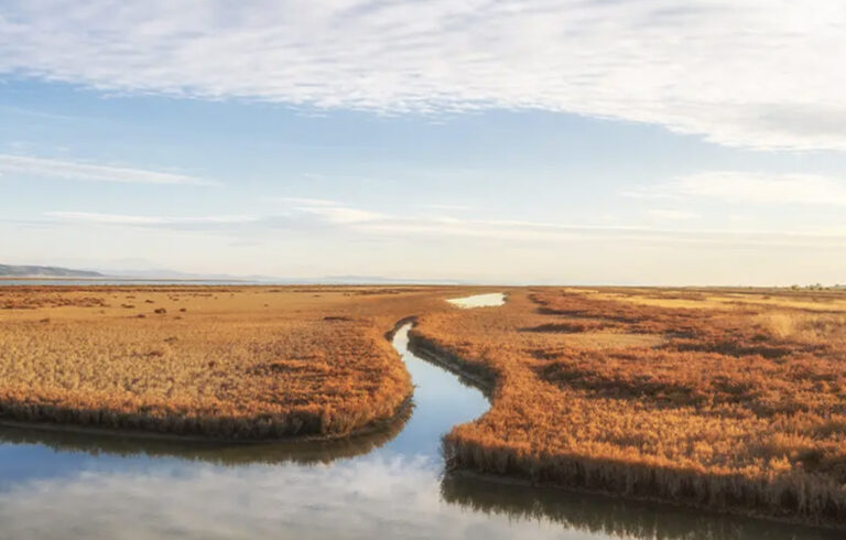 Unberührte Natur im Divjaka-Karavasta Nationalpark