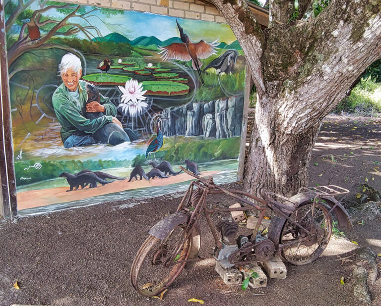 Erinnerungsbild auf einer Hauswand an die verstorbene „Otterlady“ Diane McTurk