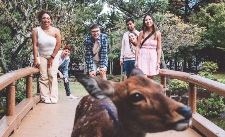 Niedliche Hirsche in Nara
