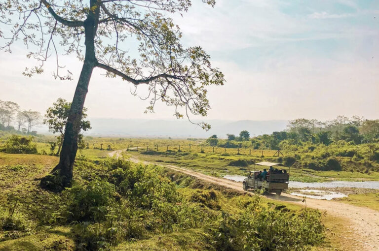 Mit Jeeps auf Safari