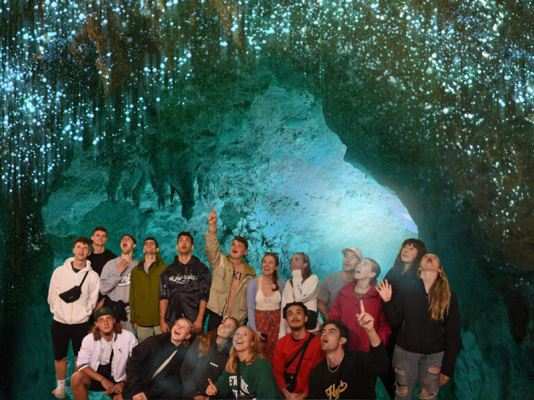 Unzählige Glühwürmchen gibt es in den Waitomo Höhlen