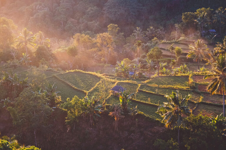 Willkommen auf Lombok!