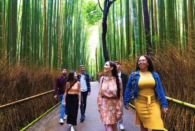 Der magische Bambuswald