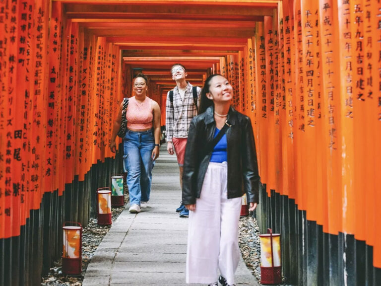 Die endlosen Torri-Tore des Fushimi Inari Schreins