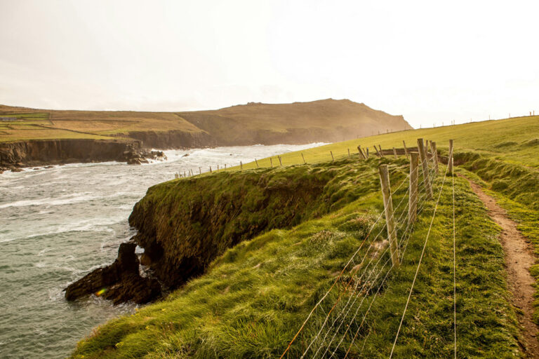 Weg am Wasser auf der Dingle Halbinsel, Irland