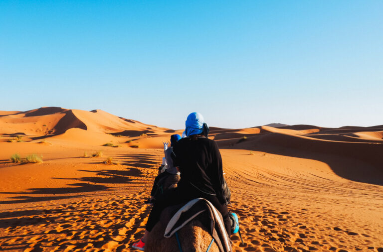 Kamel und Reiter von hinten