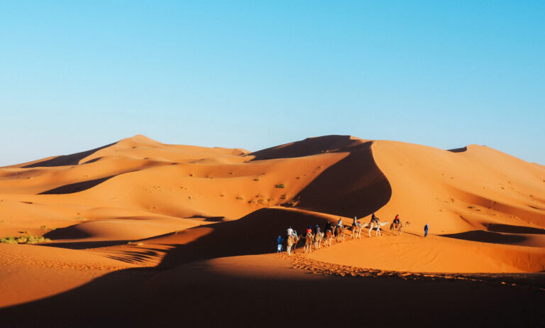 Gruppe auf Kamelen in der Wüste
