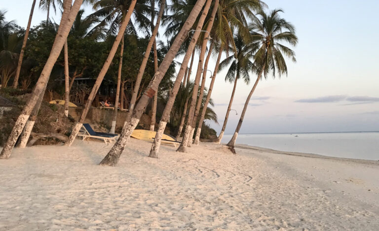 Der wunderschöne Anda Beach auf Bohol
