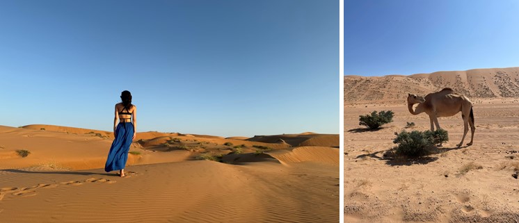 /Oman Wahiba Sands