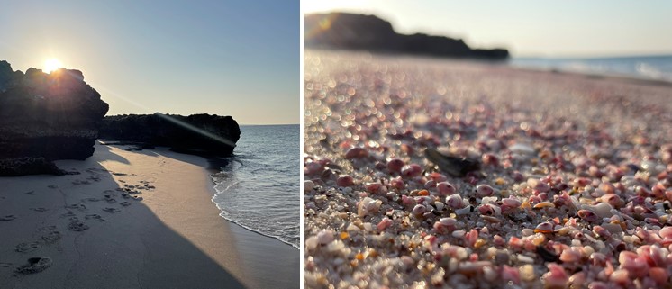 /Oman Strand am Turtle Beach Resort