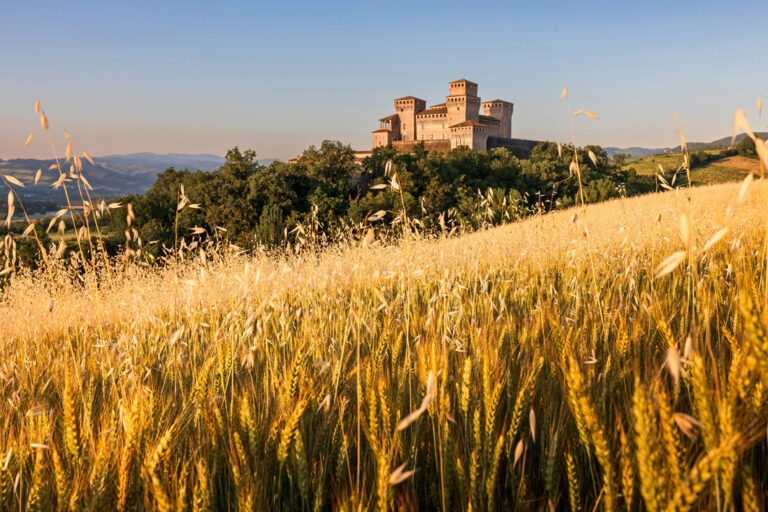 Burg hinter gelbem Getreidefeld in Parma