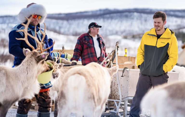 Reisende zwischen Rentieren