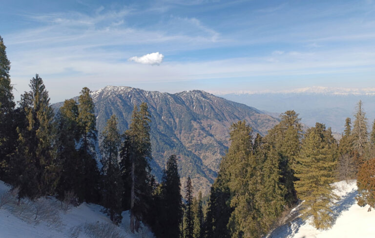 Ausblick auf Bäume und Berge