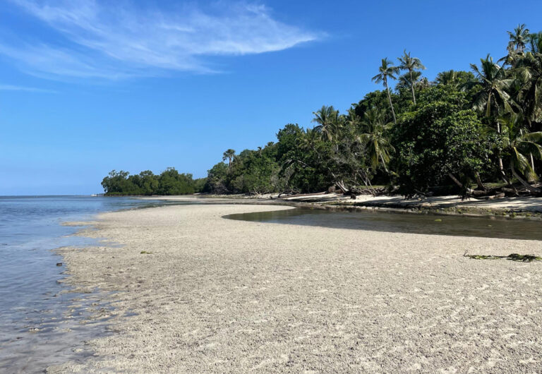 Strand mit Wasserlauf und Palmen auf Siquijor