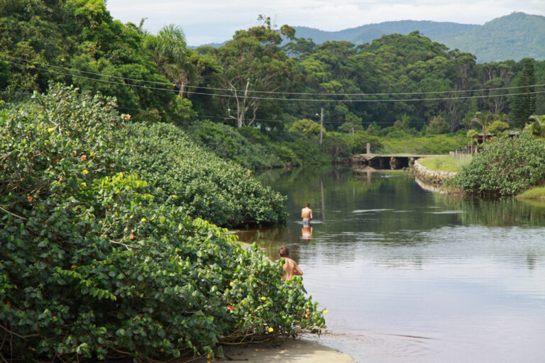 Zwei Leute baden im Fluss direkt am Regenwald