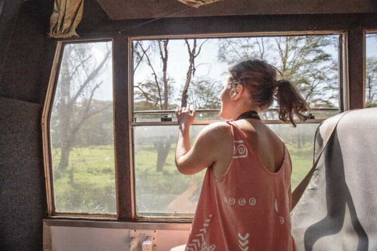 Reisende schaut aus dem Truck-Fenster