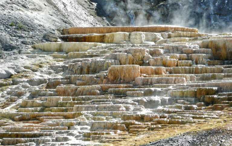 Die Mammoth Hot Springs sind kalkhaltige Terrassen, die durch heißes, mineralreiches Wasser geformt wurden
