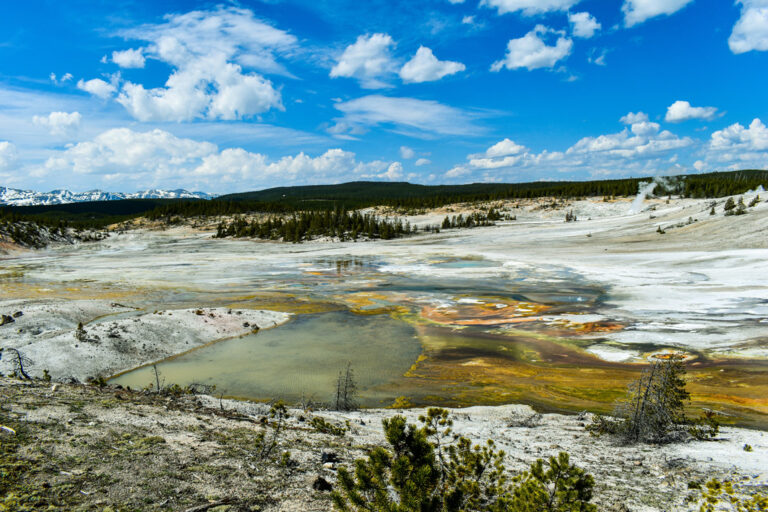 Blick auf das äußerst geothermische Norris Geyser Basin