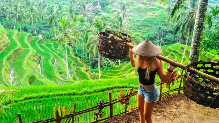 Junge Frau mit Kegelhut und zwei Körben an Holzstab über den Schulter vor Reisterrassen