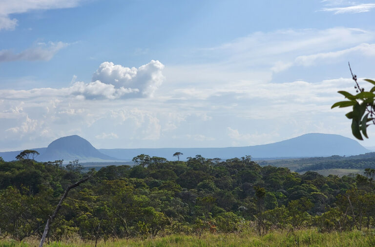 Landschaft in Guyana