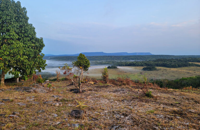 Natur pur soweit das Auge reicht
