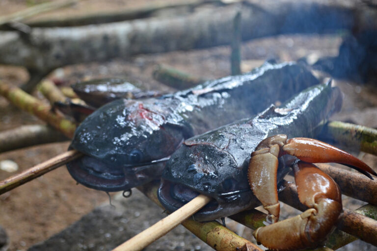 Flusstiere auf Grill
