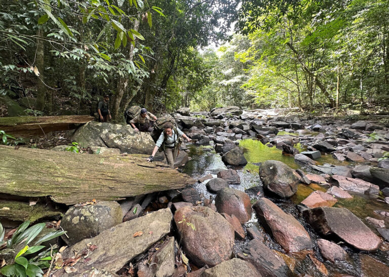 Flussüberquerung im Dschungel