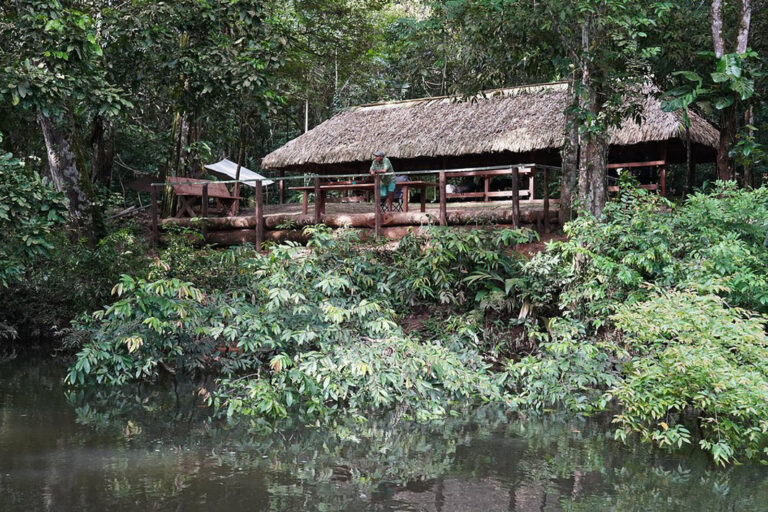 Das Mapari Wilderness Camp