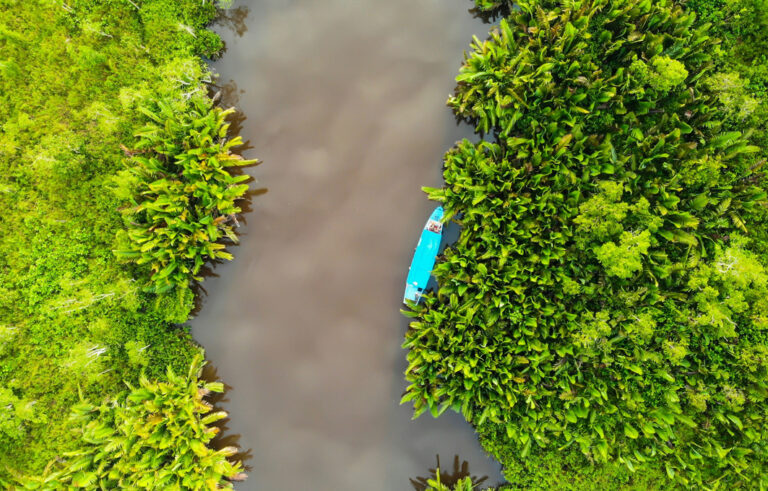 Boot auf Fluss im Dschungel in Borneo aus der Vogelperspektive