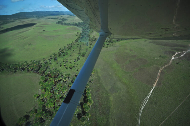 Ausblick aus dem Flugzeug auf die Gran Sabana