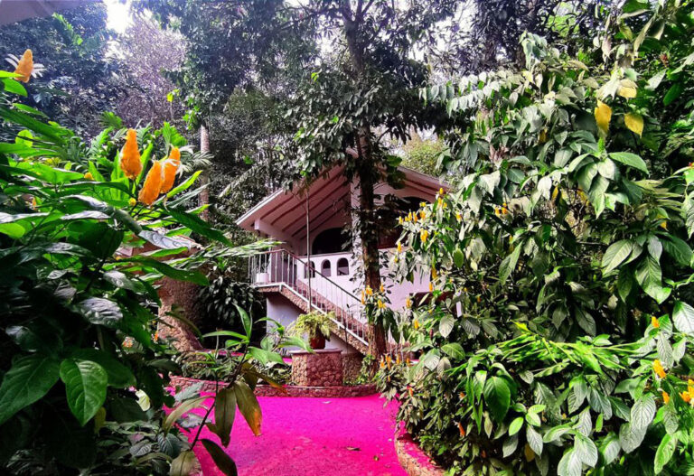 Die Eco Posada Ecológica Casa María liegt wunderschön eingebettet im Bergnebelwald