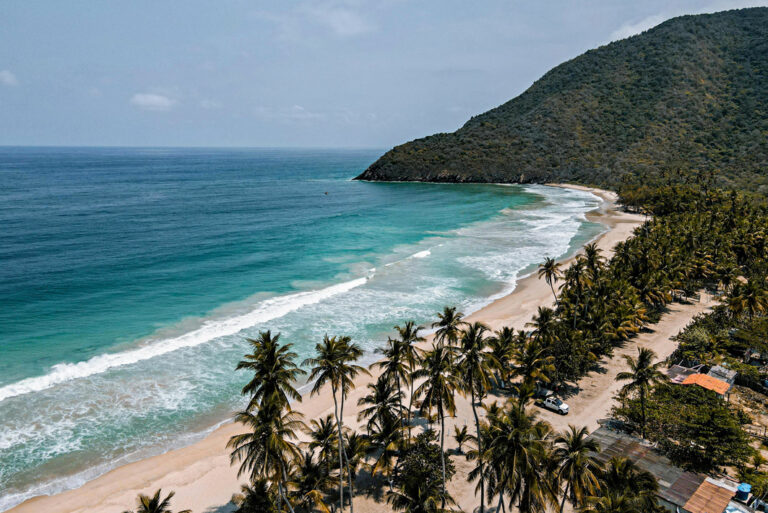 Palmengesäumte Bucht in Choroní