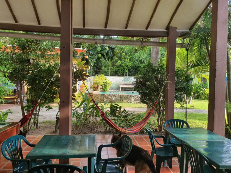 Überdachte Tische und Hängematten im Hostal Nova Colonial in Choroni