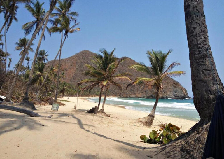Strand mit Palmen in Choroní
