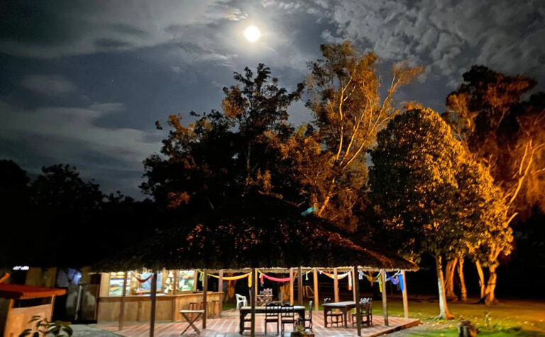 Überdachter Essbereich zwischen Bäumen unter Vollmond