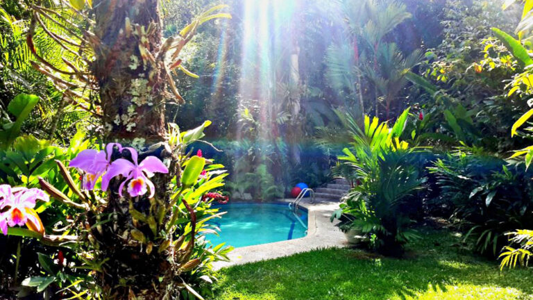 Sonnenlicht fällt auf den Pool umgeben von Bäumen und Blumen