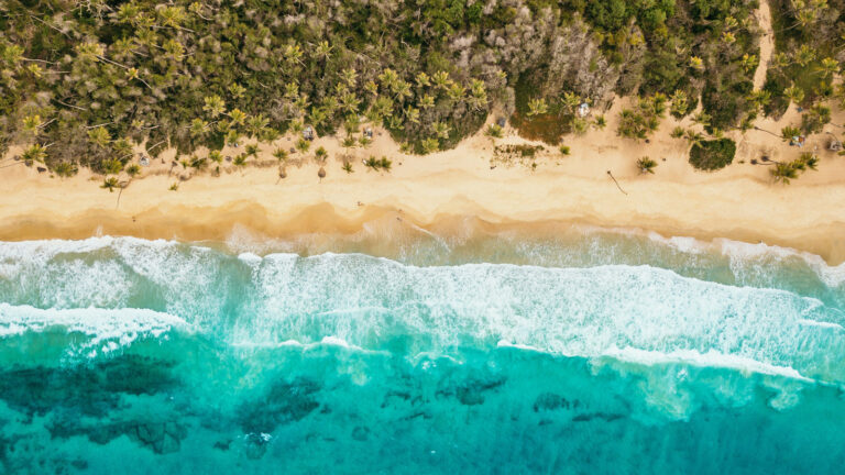 Strand, Palmen und Meer in Venezuela aus Vogelperspektive