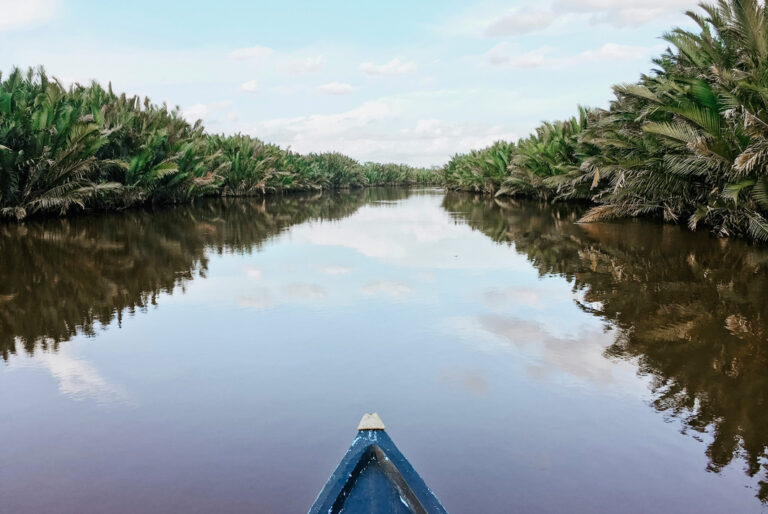 Bug eines Bootes auf dem Kinabatangan-Fluss