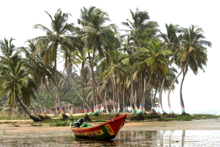 Buntes Holzboot vor Palmen mit unten bunten Stämmen