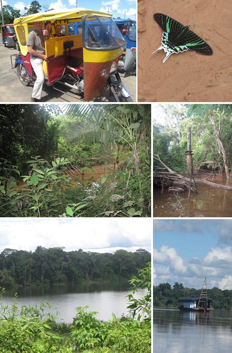 Natur pur im Manu-Nationalpark 