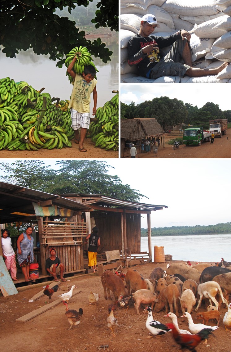 Das Leben im Amazonasgebiet